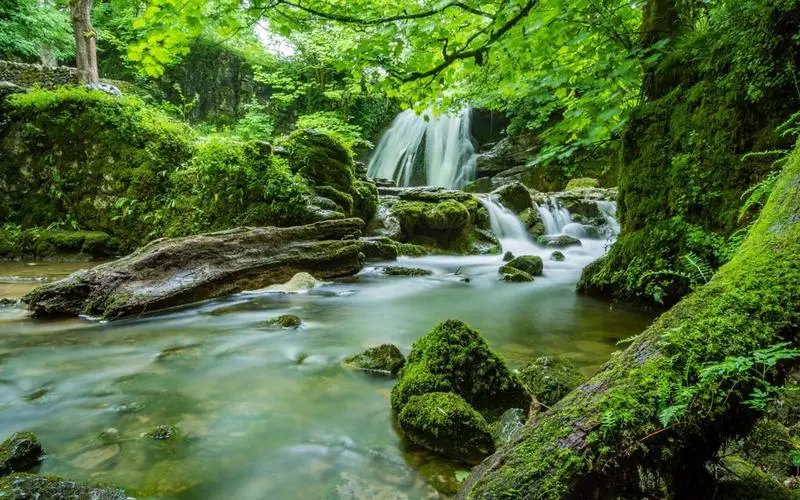 高精度高标准电子